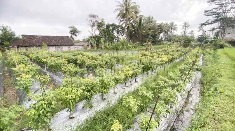 dijual tanah harjobinangun kec pakem