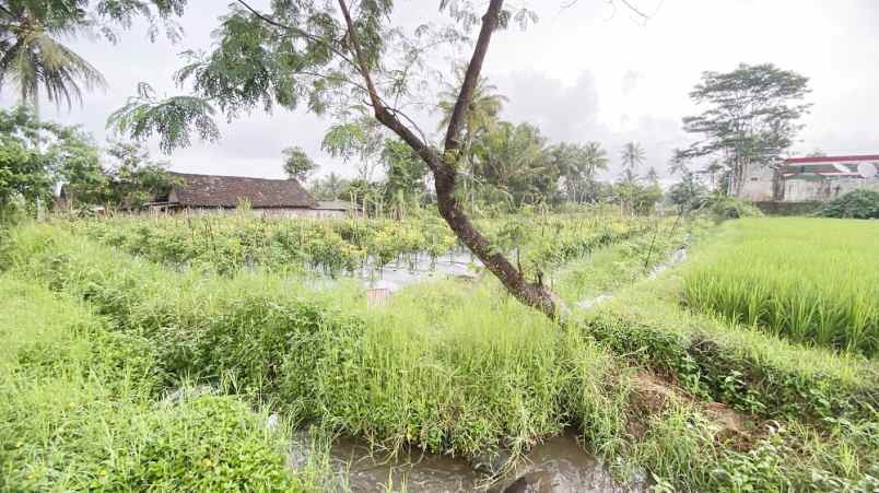 dijual tanah harjobinangun kec pakem