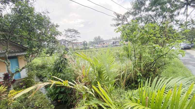 dijual tanah harjobinangun kec pakem