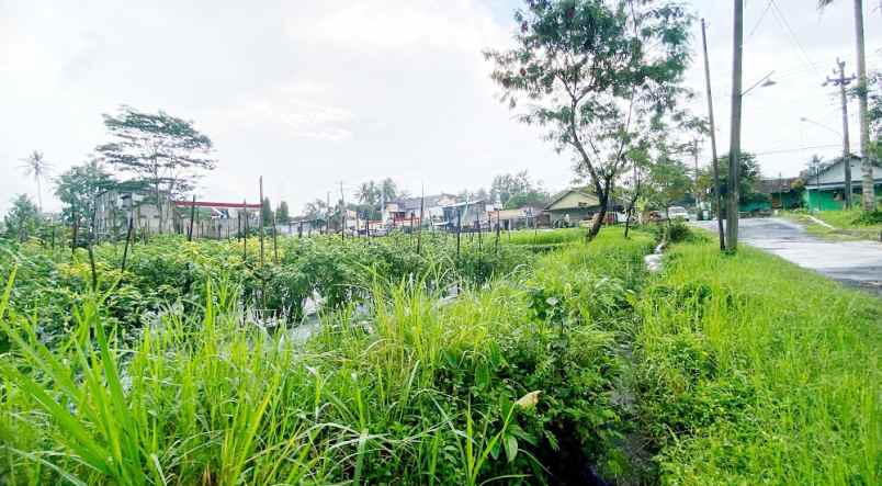 dijual tanah harjobinangun kec pakem