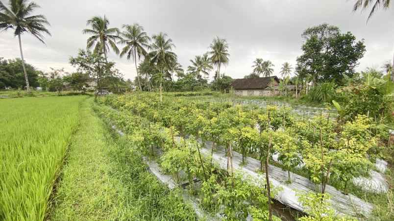 dijual tanah harjobinangun kec pakem