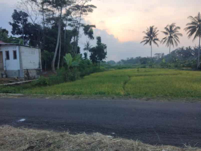 dijual tanah indrapatra kab kuningan