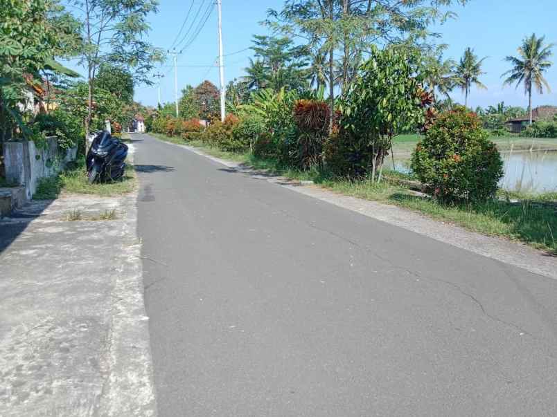 dijual tanah jalan cebongan margoluwih