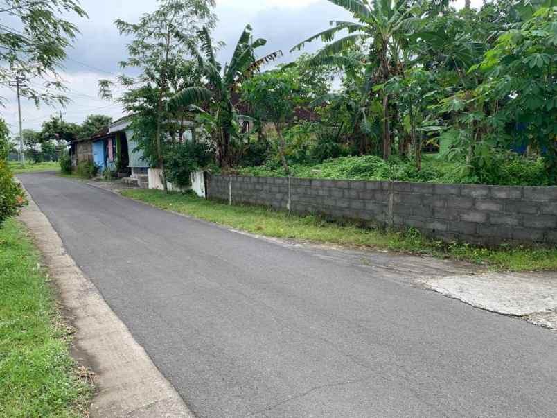 dijual tanah jalan cebongan margoluwih