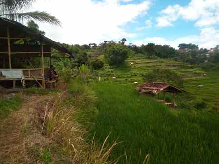 dijual tanah jalan cijamil mekarsari kp