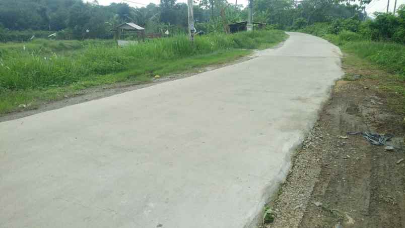 dijual tanah jalan desa sembung