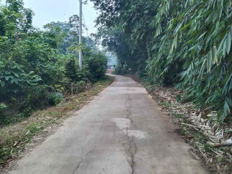 dijual tanah jalan desa sembung