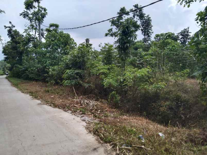 dijual tanah jalan desa sembung