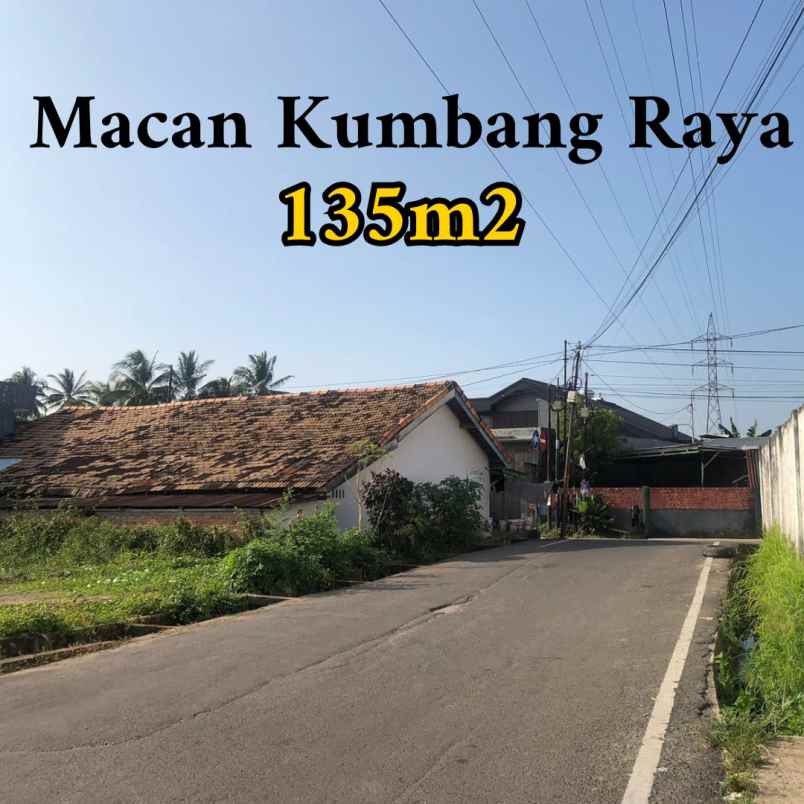 dijual tanah jalan macan kumbang raya