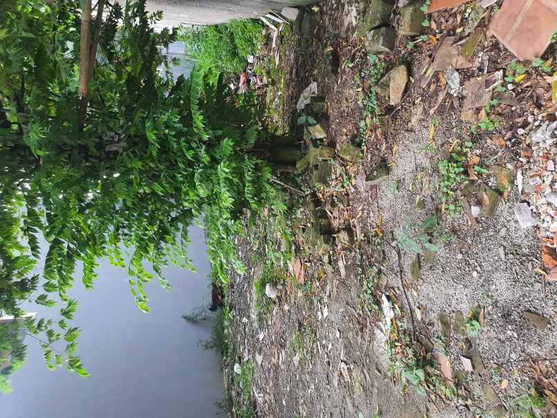 dijual tanah jalan palem puri