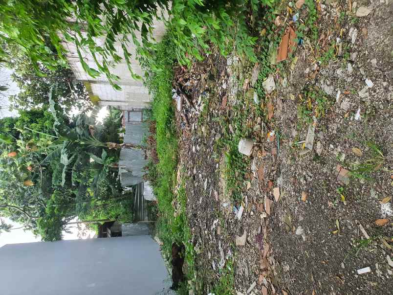 dijual tanah jalan palem puri