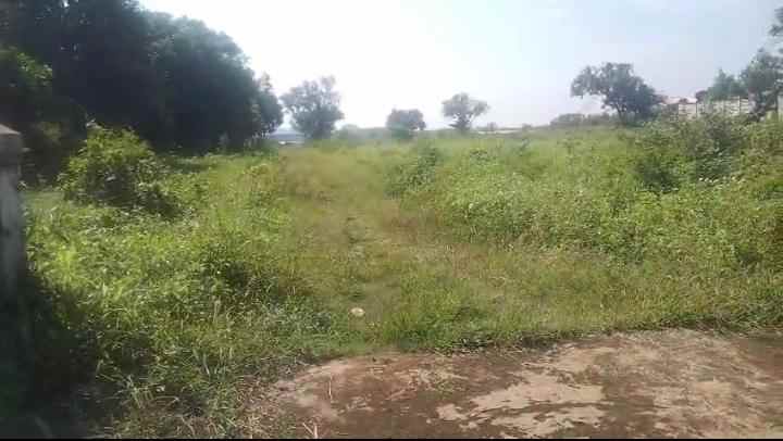 dijual tanah jalan raya kalijati purwadadi