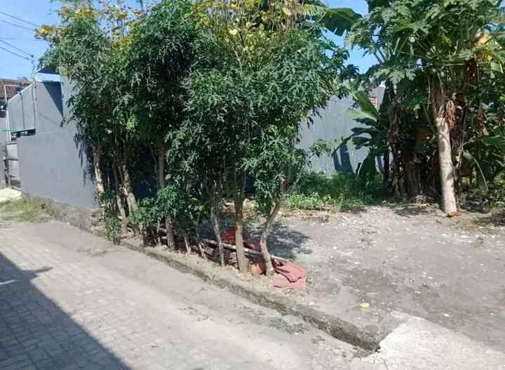 dijual tanah jalan sedap malam