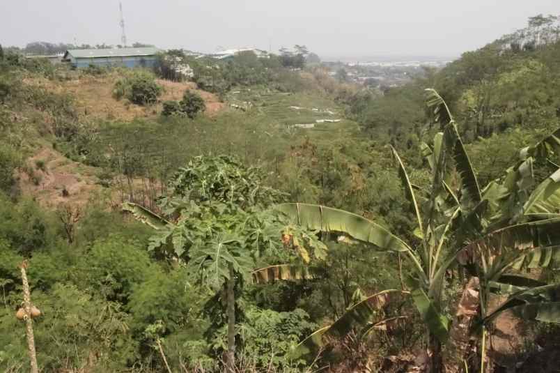 dijual tanah jalan tambak aji