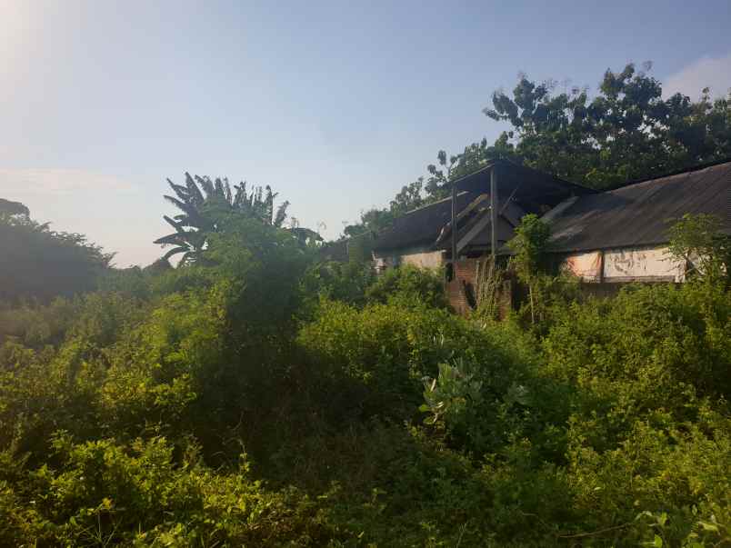 dijual tanah jalan teuku umar pasuruan