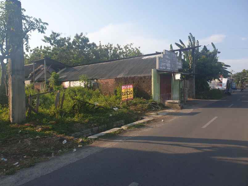 dijual tanah jalan teuku umar pasuruan