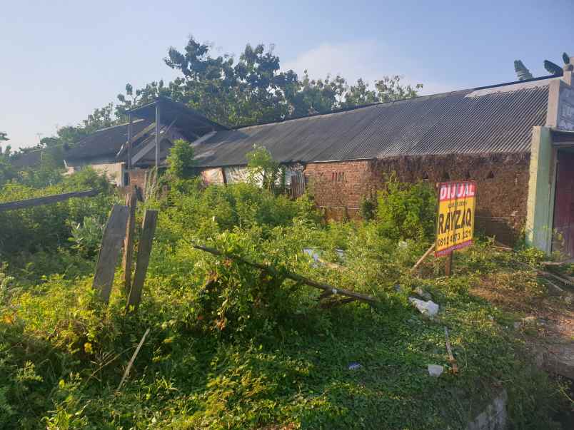 dijual tanah jalan teuku umar pasuruan