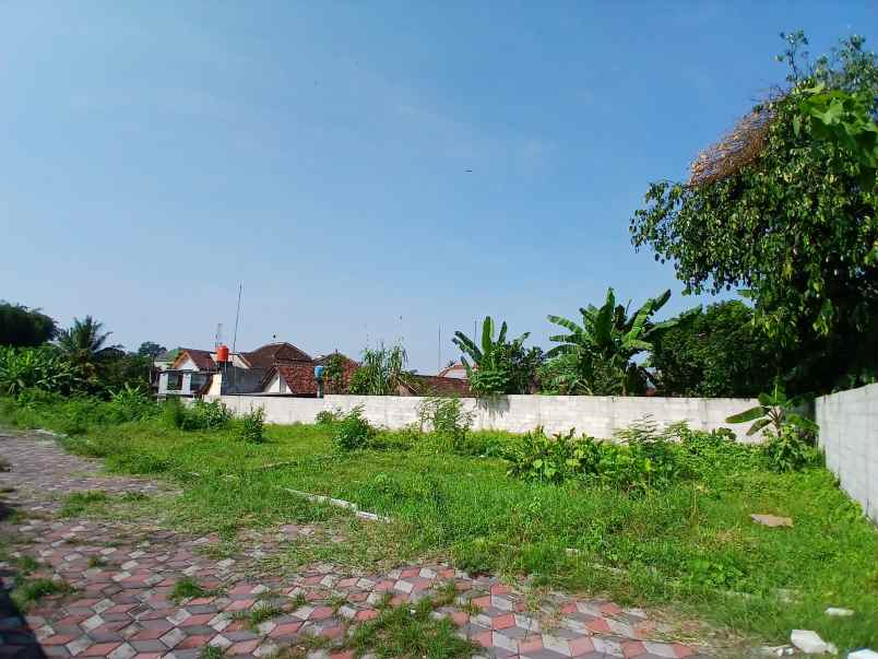 dijual tanah jetis baran sardonoharjo