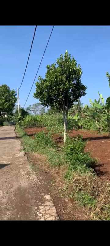 dijual tanah jl boma