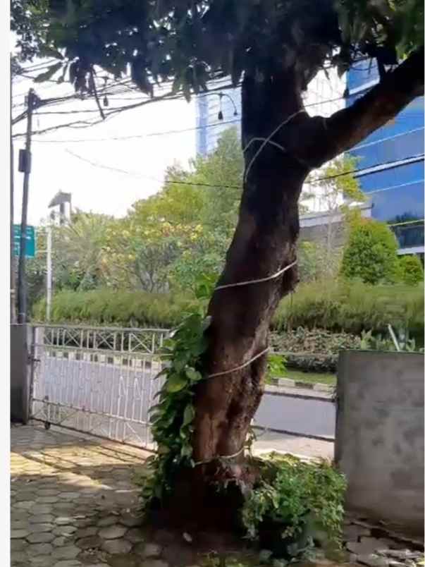 dijual tanah jl gabus