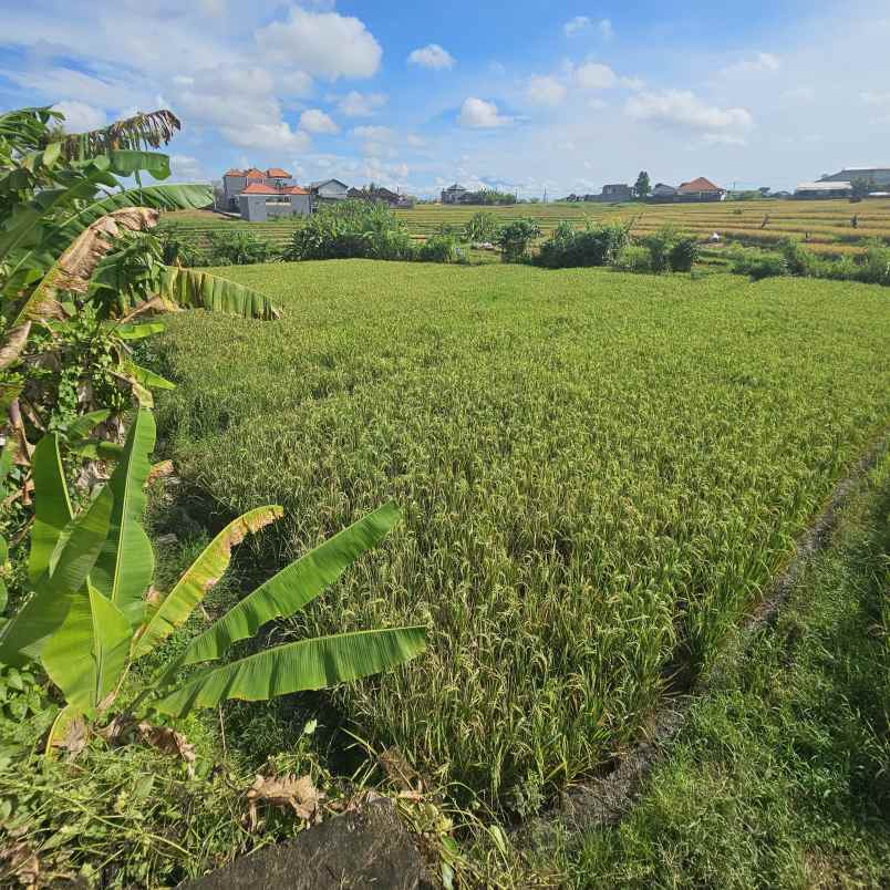dijual tanah jl gn batukaro