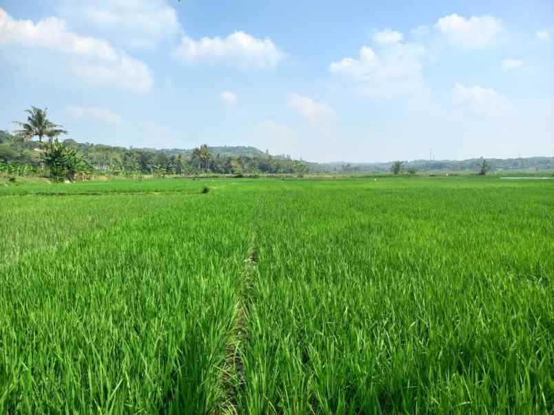 dijual tanah jl janur kuning jipangan