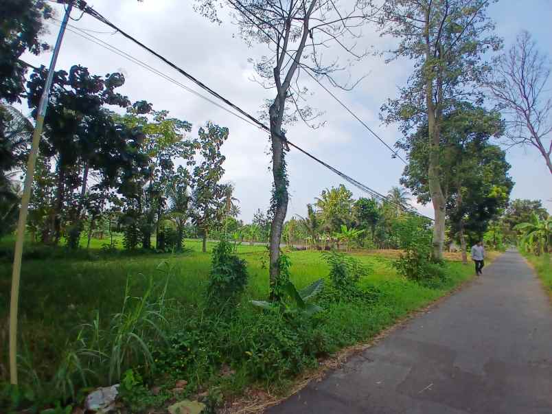 dijual tanah jl kembangan rejodani