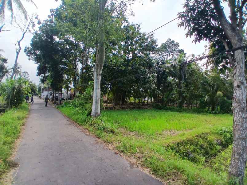 dijual tanah jl kembangan rejodani