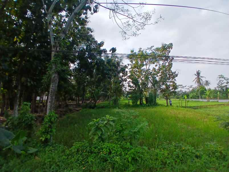 dijual tanah jl kembangan rejodani