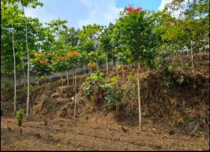 dijual tanah jl kol masturi