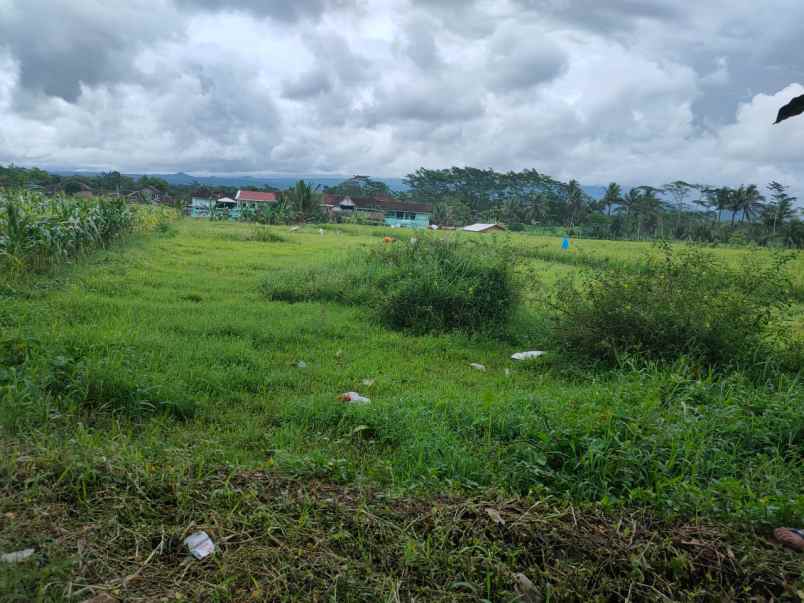 dijual tanah jl lingkar barat