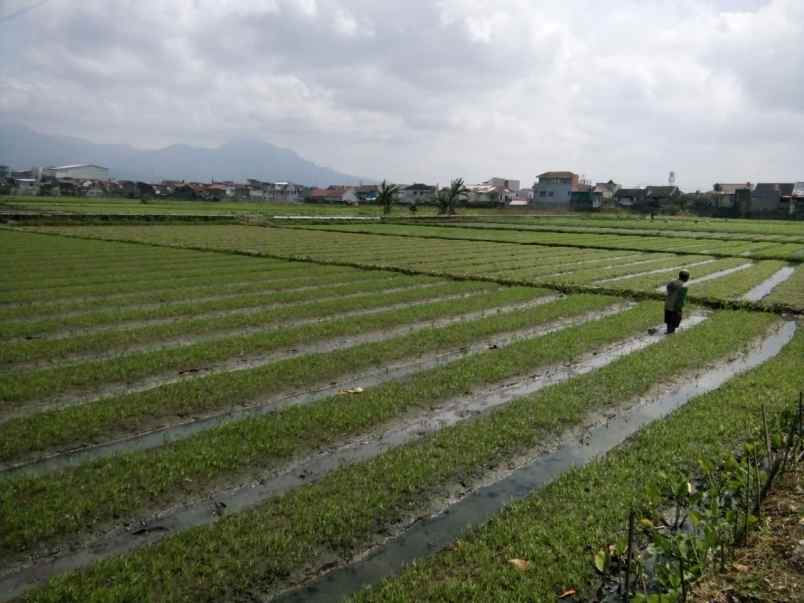 dijual tanah jl margaluyu kelurahan