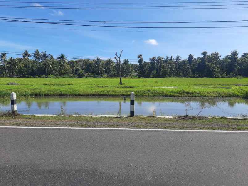 dijual tanah jl nasional iii karangan