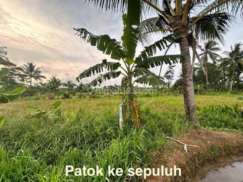 dijual tanah jl raya carita