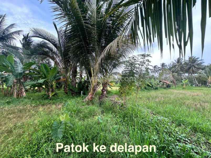 dijual tanah jl raya carita