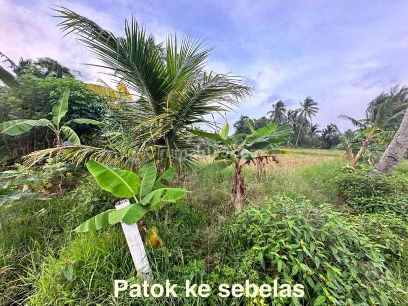 dijual tanah jl raya carita