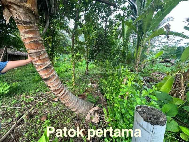 dijual tanah jl raya carita