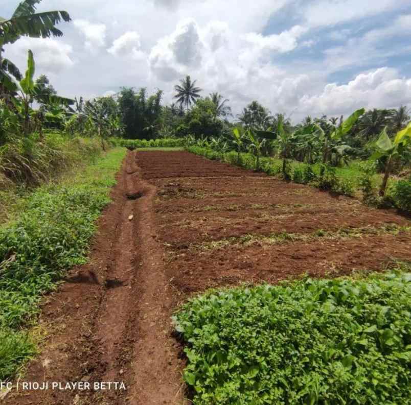 dijual tanah jl sindanglengo desa