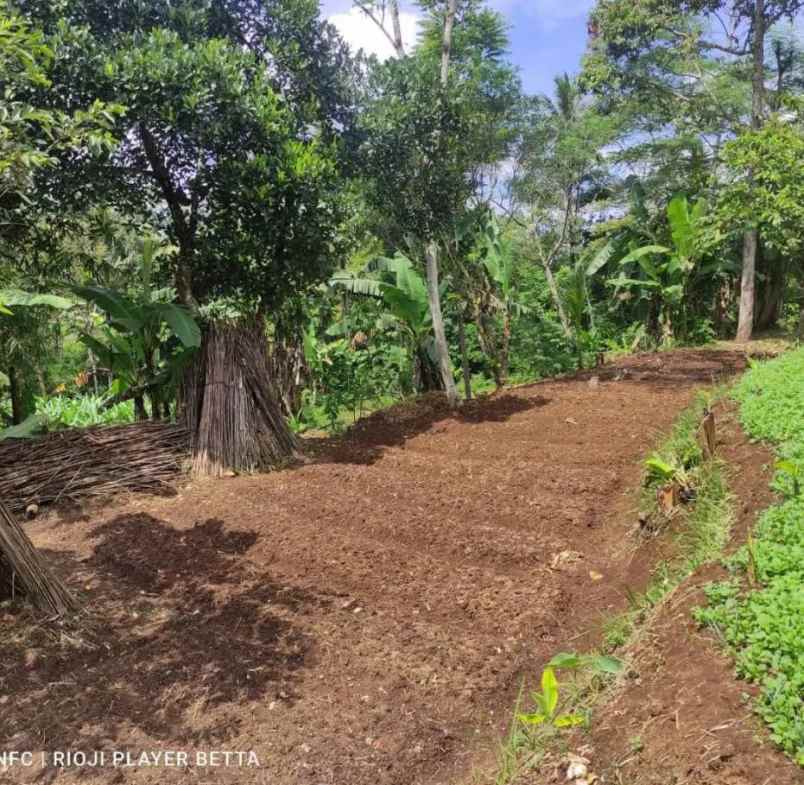 dijual tanah jl sindanglengo desa