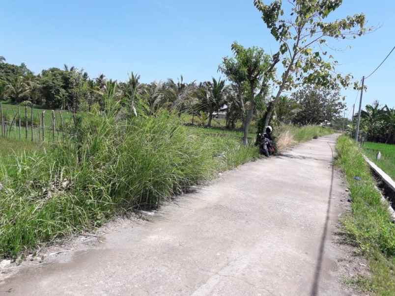 dijual tanah jln muara putat pemenang