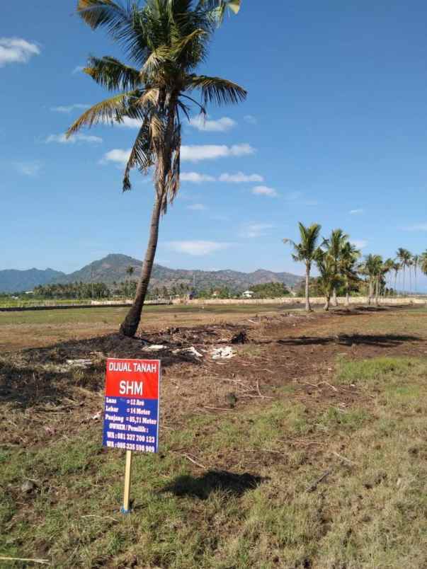 dijual tanah jln muara putat pemenang