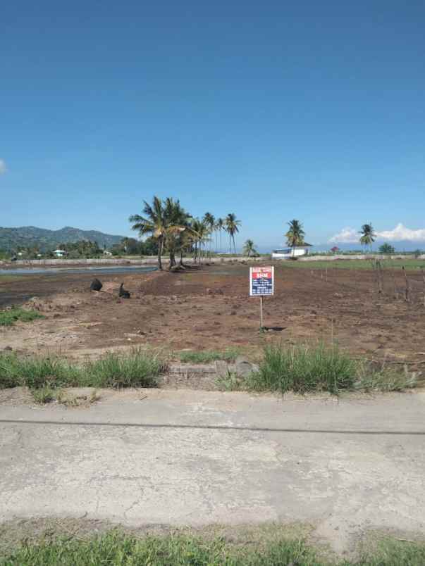 dijual tanah jln muara putat pemenang