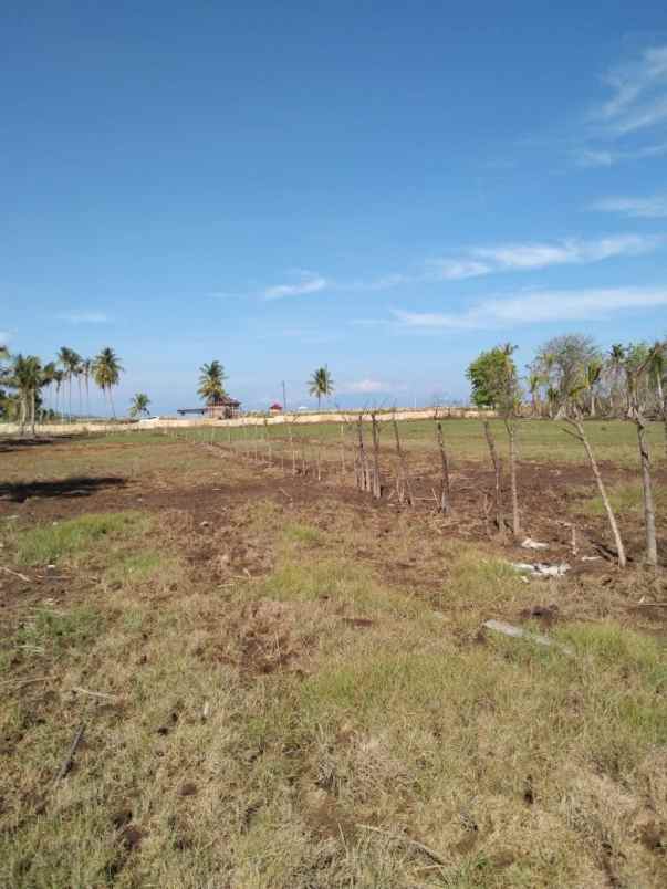 dijual tanah jln muara putat pemenang