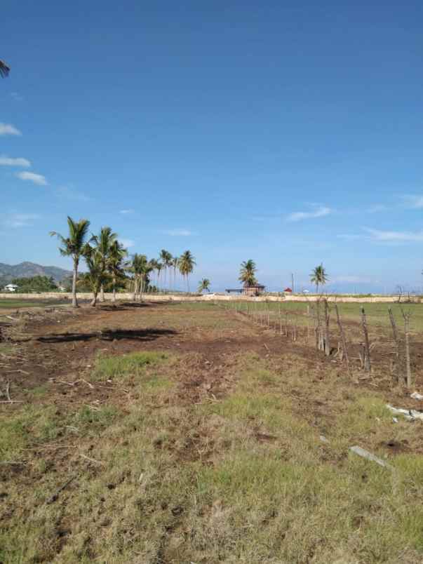 dijual tanah jln muara putat pemenang