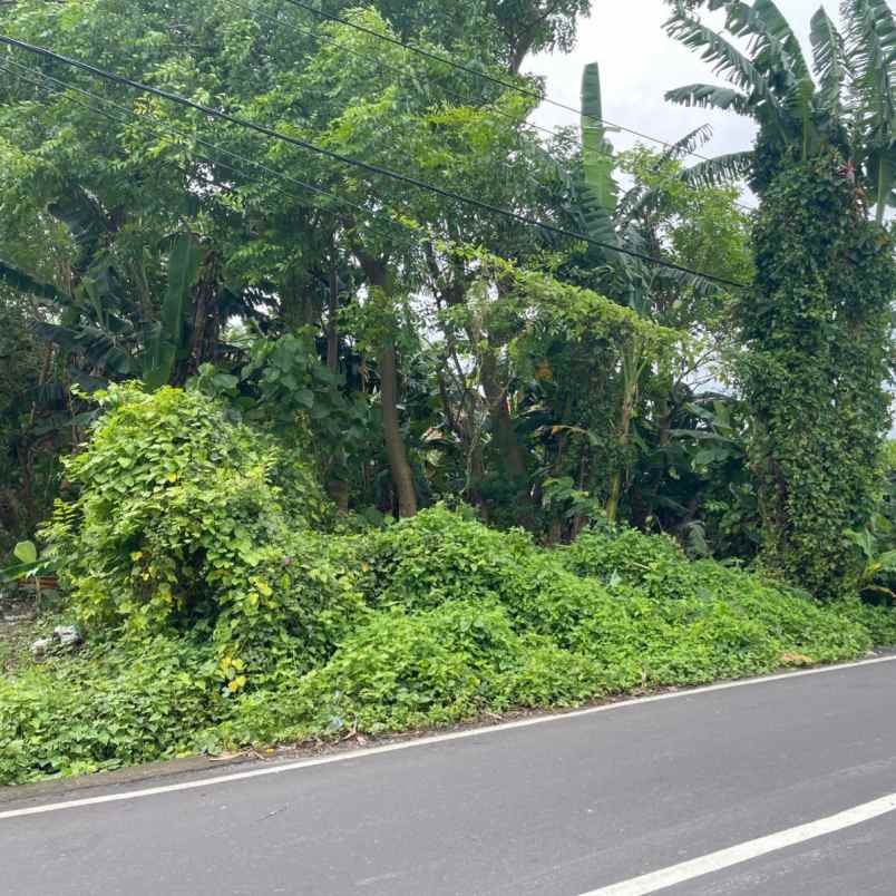 dijual tanah jln veteran