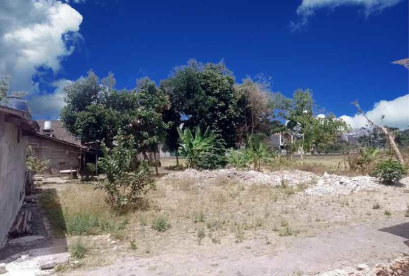 dijual tanah jongke tengah sendangadi