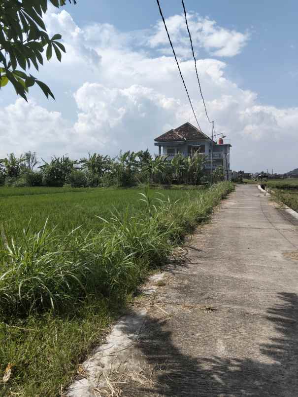 dijual tanah kebondalem madurejo