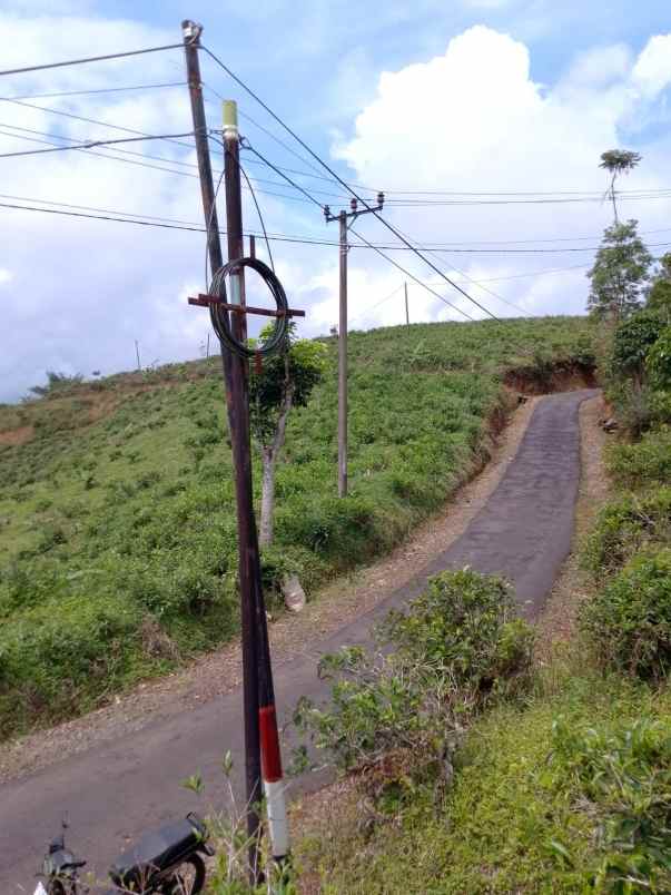 dijual tanah kebun produktif pinggir jalan
