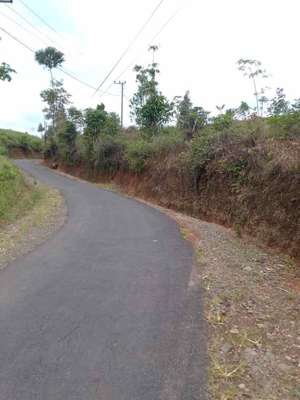 dijual tanah kebun produktif pinggir jalan