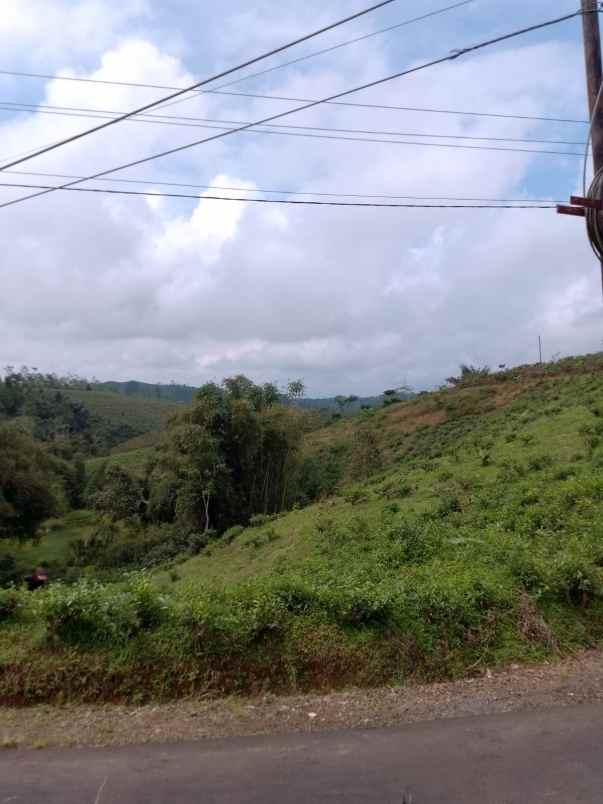 dijual tanah kebun produktif pinggir jalan